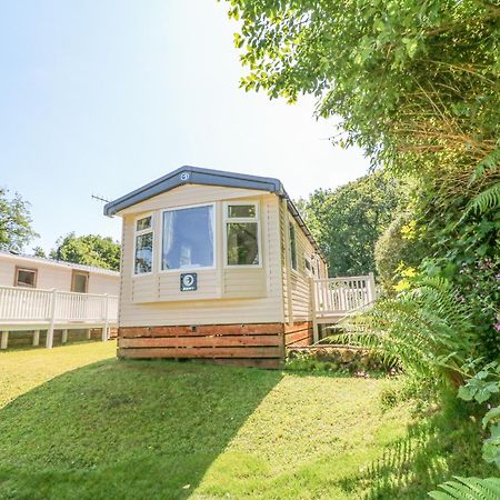 25 Manleigh Park Βίλα Ilfracombe Εξωτερικό φωτογραφία